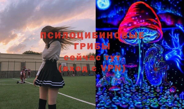 экстази Арсеньев