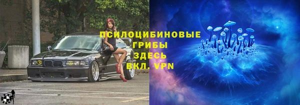 mdpv Алзамай