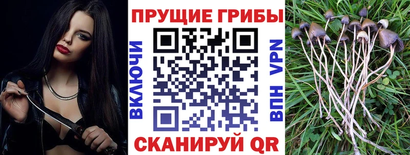Псилоцибиновые грибы MAGIC MUSHROOMS  Купить где  Благодарный 